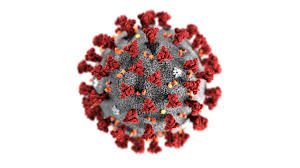 covid-19 virus set as featured image