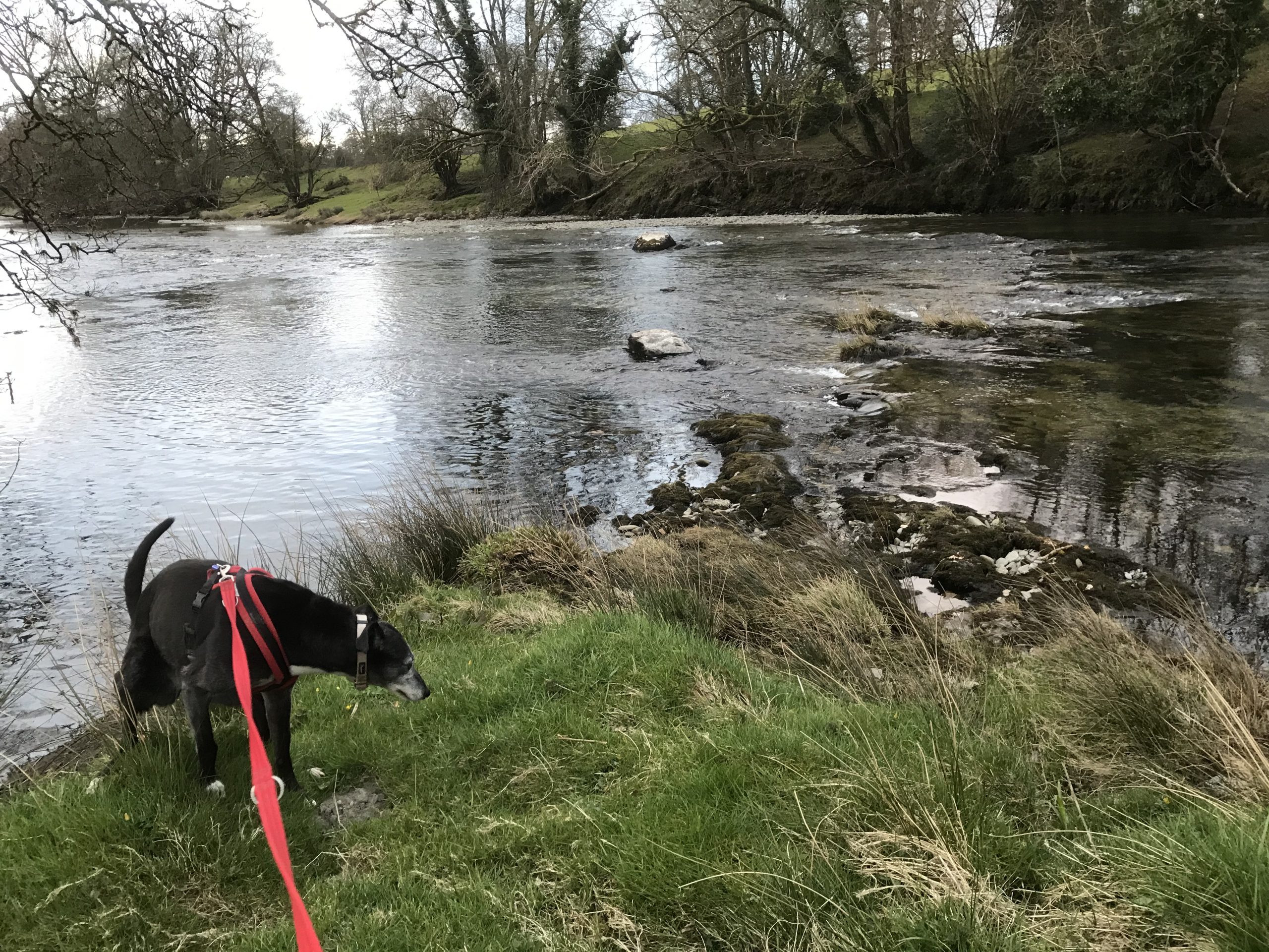 Very low river levels